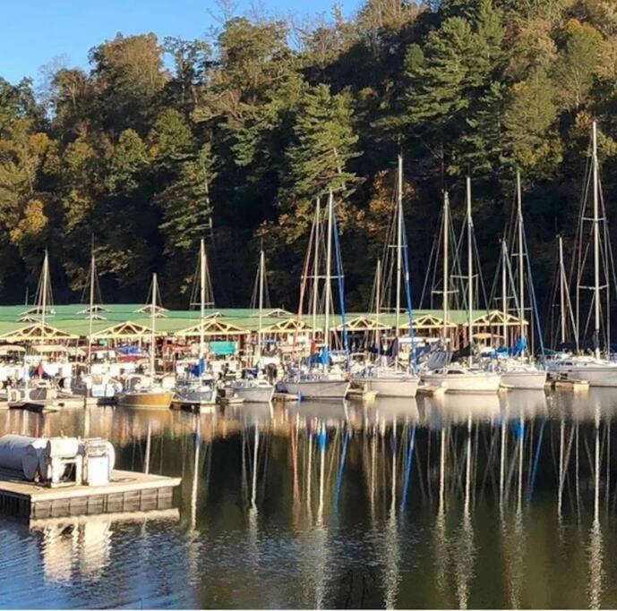 Cabin At The Cove At Watauga Lake Butler Esterno foto