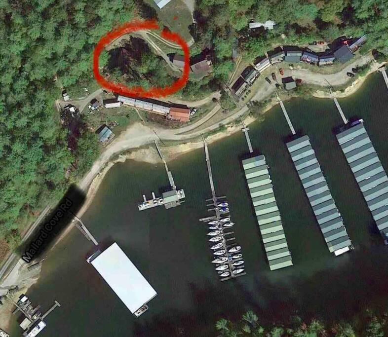 Cabin At The Cove At Watauga Lake Butler Esterno foto