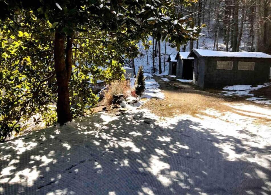Cabin At The Cove At Watauga Lake Butler Esterno foto